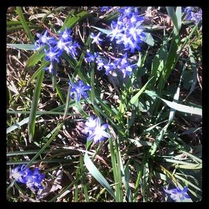 Meet your Posher, Jenn